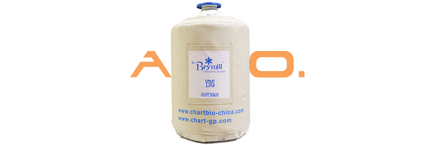 Conteneur azote liquide série YDS - 20 L