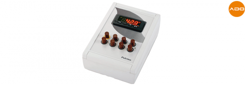 Incubateur électronique Pulcino