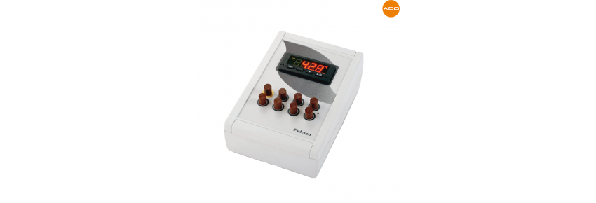 Electronic Incubator Chick