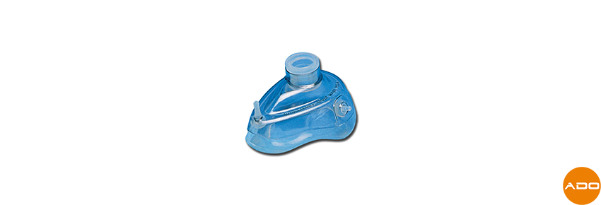 N° 4 - adults/small