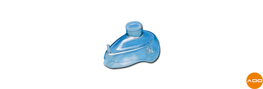 N° 5 - adults/large