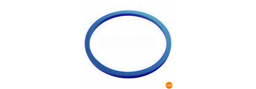 Autoclave gasket