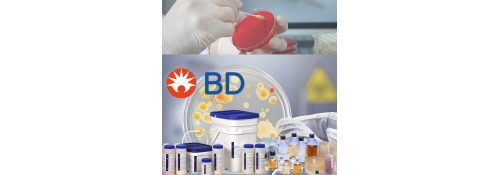 Price List Becton Dickinson