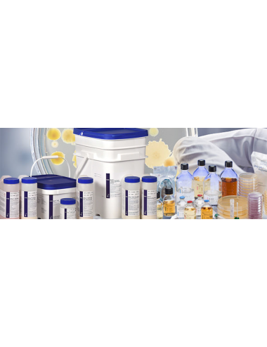 Price List Becton Dickinson