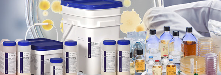 Price List Becton Dickinson