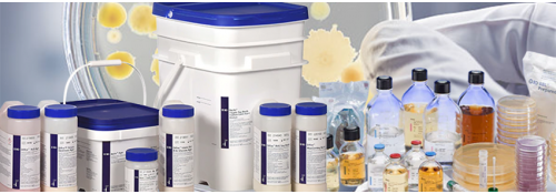 Price List Becton Dickinson