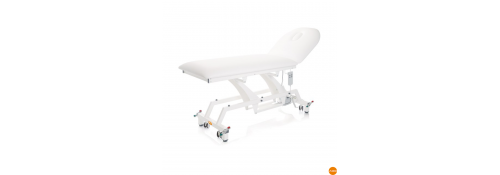 Lytus 2-Motor Electric Bed with Wheels - Top 68cm.