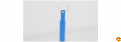 Kit d'électrodes à anses (5 pcs) - 5 cm