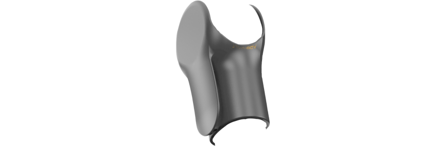 Schutzholster DL5