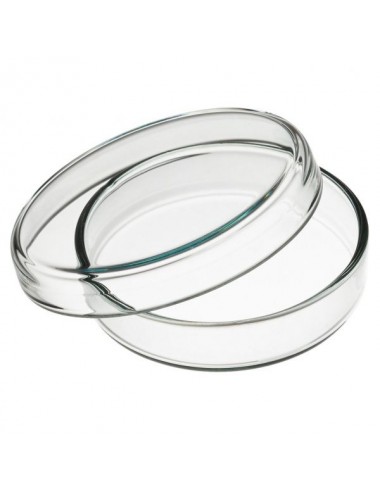Petri Dish - ADOMEDICAL.IT laboratory products