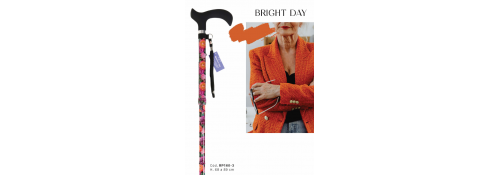FALTBARE STOCK MIT DERBY-GRIFF - BLUMEN
