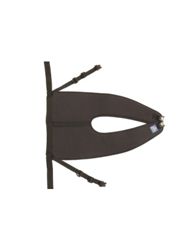 Pelvic containment belt