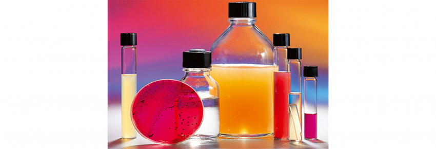 Ready-to-use culture media