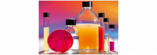 Ready-to-use culture media