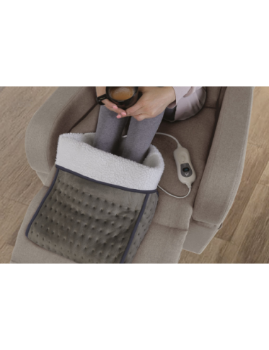 Electric foot warmer