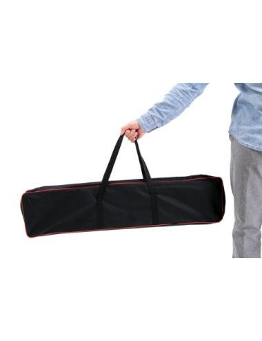 Mobile Ramps for Disabled