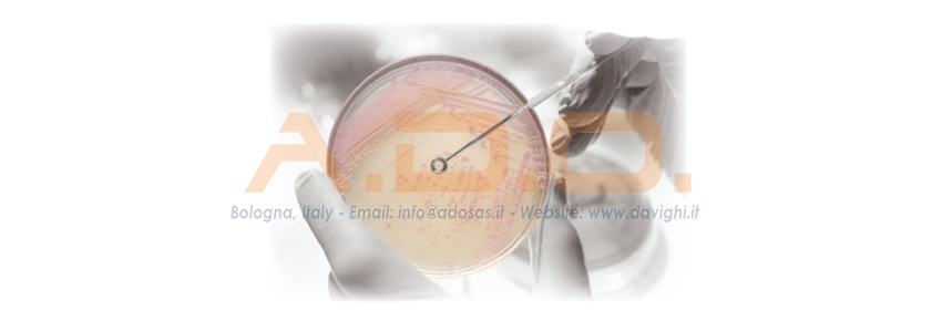 Placas listas para usar