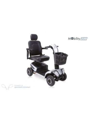 Scooter Elettrico per Disabili