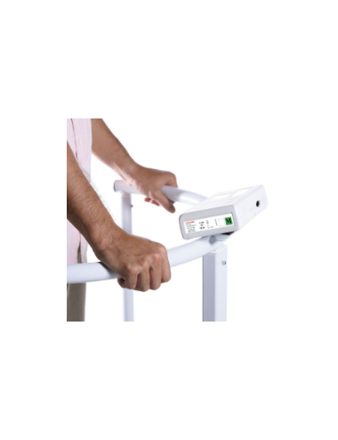 Platform Scale with Handrail