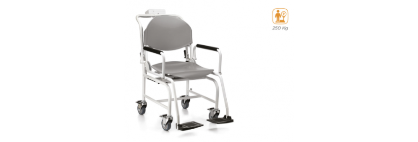Chair Scale