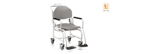Chair Scale