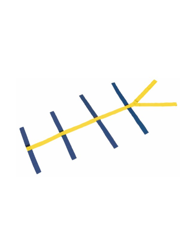 Cintura a ragno per tavola...