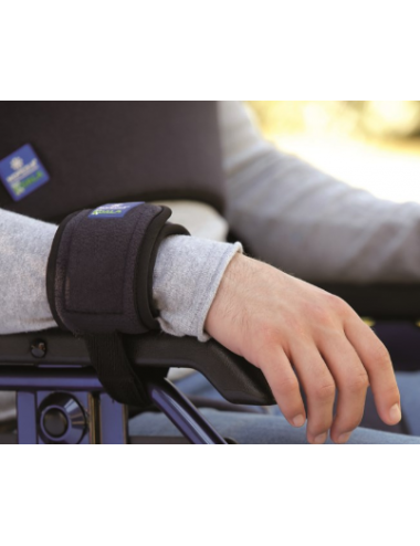 Fascia fermapolso Koala