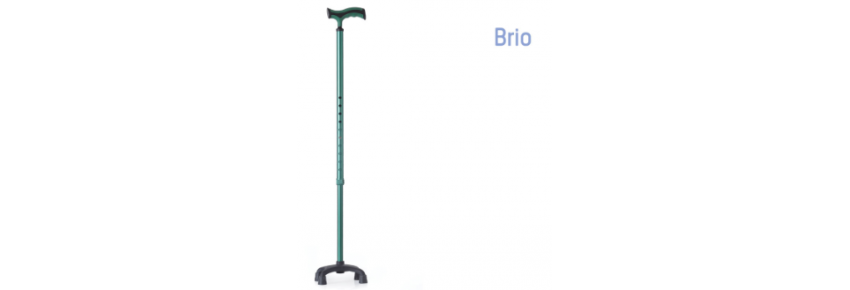 Bâton de soutien avec base à trépied Brio - Vert Forêt