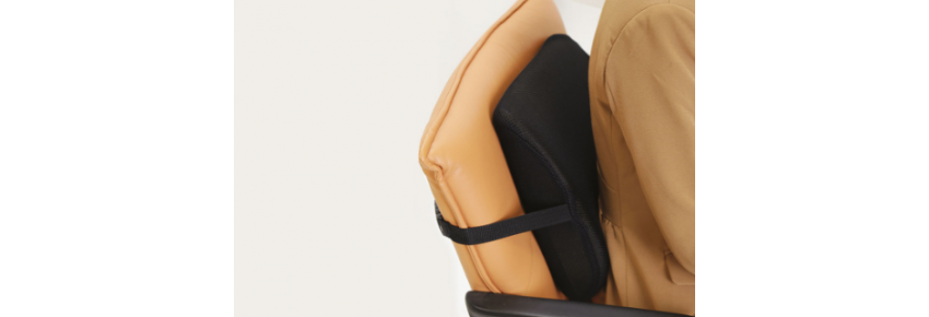 Cojín de Soporte Lumbar - USO