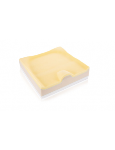 Anatomical composite cushion with rigid base