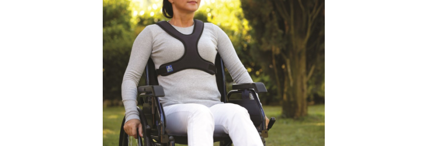 Butterfly containment harness – KOALA - example