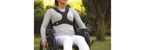 Butterfly containment harness – KOALA - example