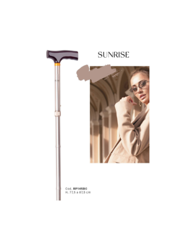 Folding aluminum cane with non-slip tips