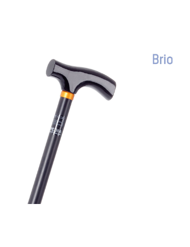 Aluminum sticks with wooden handle and non-slip tips