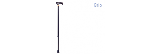 Aluminum cane with wooden T-handle and non-slip tips - cane