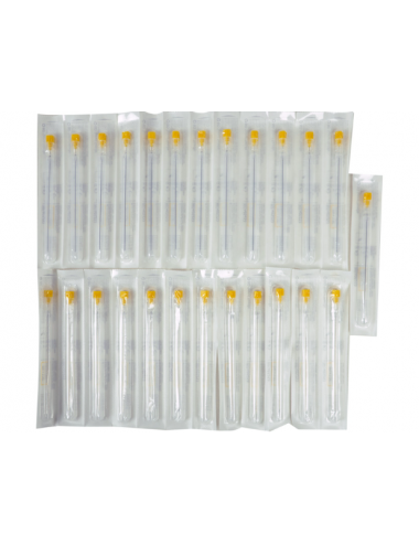 BD Quincke Spinal Needles 20G - 0.9x90 mm