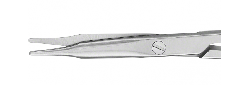 Ciseaux STEVENS Dissecteurs Droits