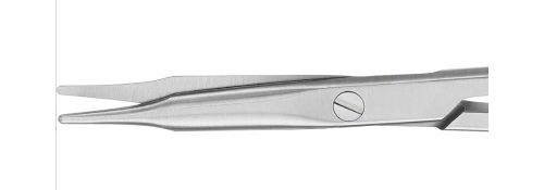 STEVENS Dissecting Scissors Straight