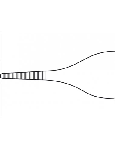 Pinzas ADSON 120 mm – Rectas, Delicadas, Mandíbulas Serradas 1,50 mm