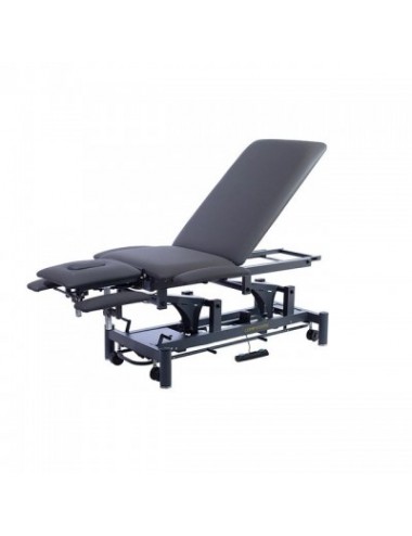 GALLEY - Physiotherapy Bed