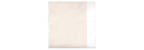 Carta termica ECG 210x20 mmxm - rotolo griglia arancio