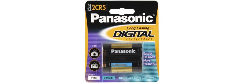 Battery Dermlite Carbon & DL100