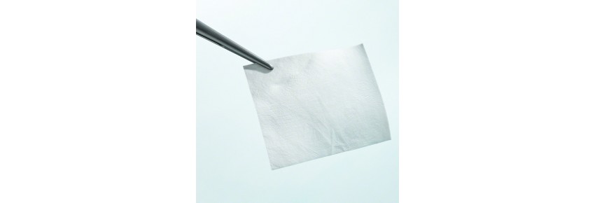 Lyoplant® BBRAUN - resorbable biological substitute for the dura mater