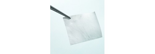 Lyoplant® BBRAUN - sostituto biologico riassorbibile della dura madre